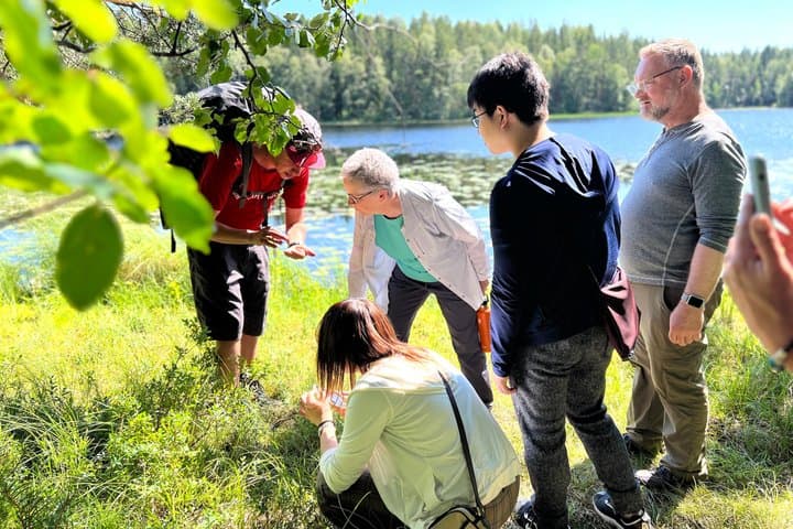 Magical Taiga Forest Hike with Lunch and Transportation