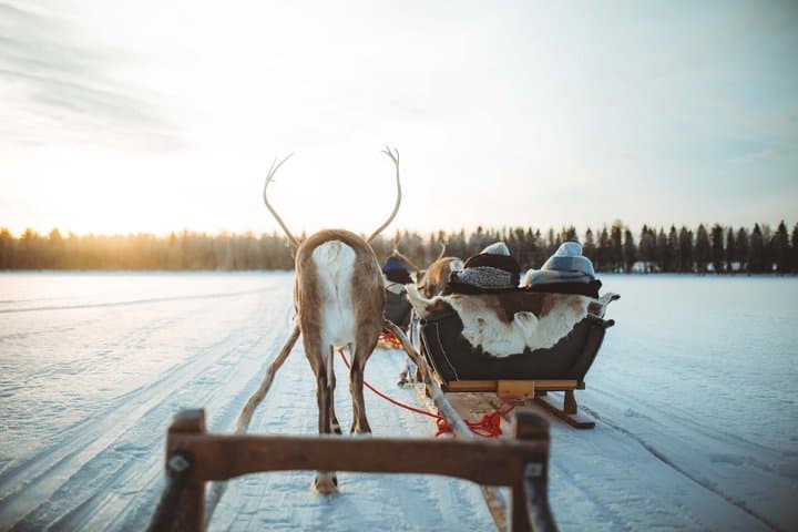 Apukka Reindeer Journey