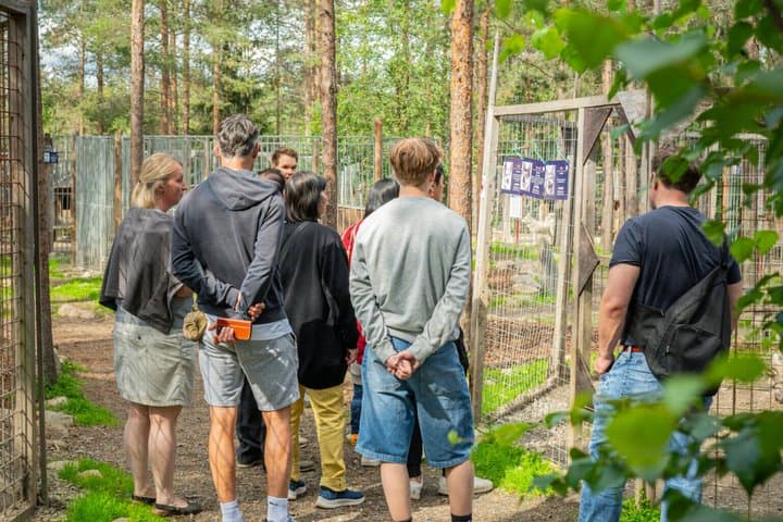 Rovaniemi Husky and Reindeer Experience in Summer with Transfers