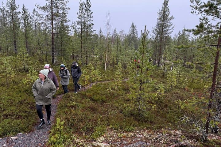 Midnight Sun Nature Experience at Pattaskivalo