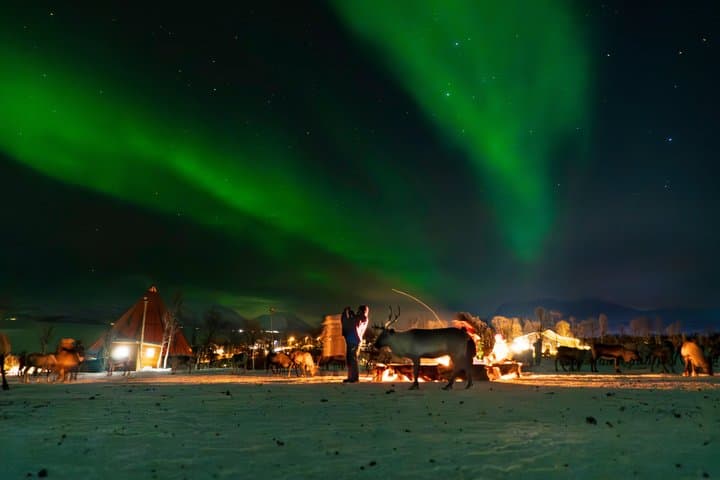 Rovaniemi Northern Lights Reindeer Sleigh Ride 3.5 KM