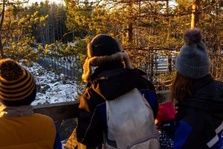 Visit to Ranua Wildlife Park - Rovaniemi