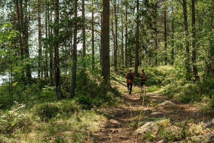Private Hike in National Park with Campfire Lunch