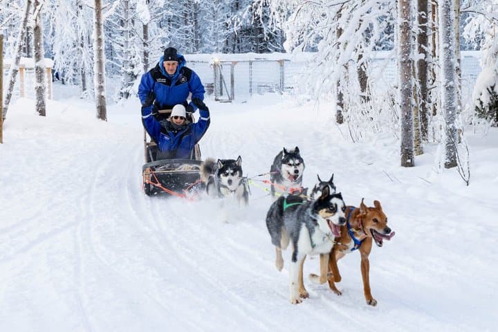 Husky Farm Visit with Husky Safari - Saariselkä