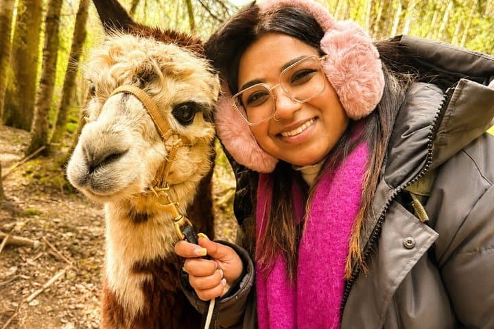 Private Alpaca Forest Walk Helsinki: Feeding, Photos,Hotel Pickup