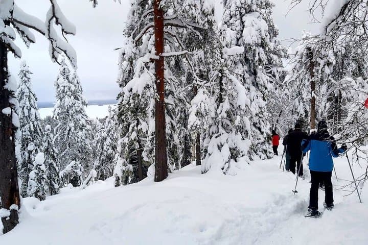 Snowshoe Adventure in Vuokatti Winter Wonderland
