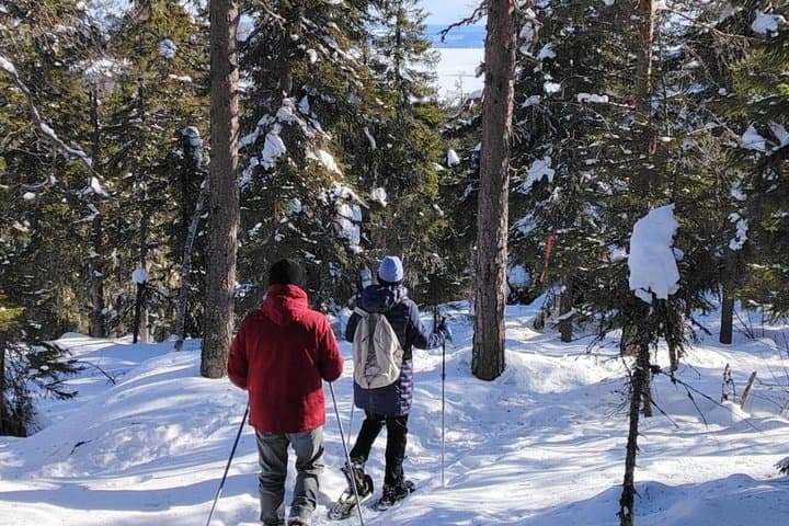 Snowshoe Adventure in Vuokatti Winter Wonderland