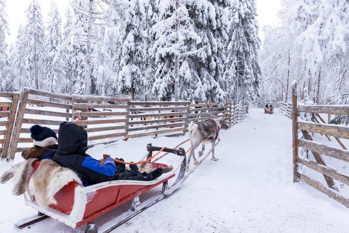 Arctic Combo, Huskies & Reindeer - Rovaniemi