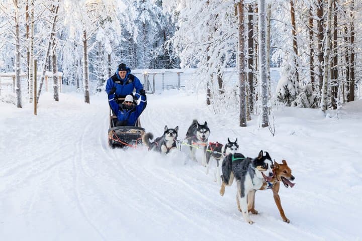 Arctic Combo, Huskies & Reindeer - Rovaniemi