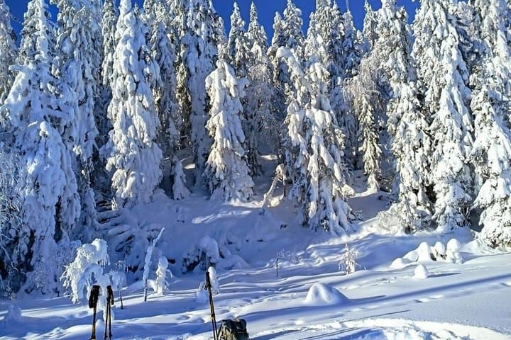 Snowshoe Adventure in Vuokatti Winter Wonderland