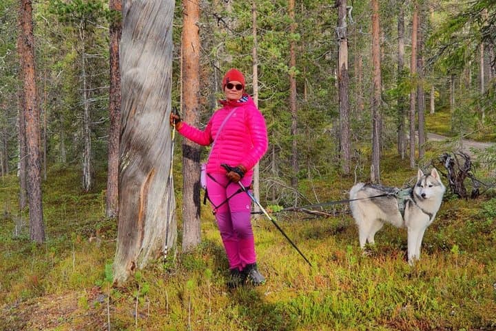 Guided Husky Hike in Finnish National Park