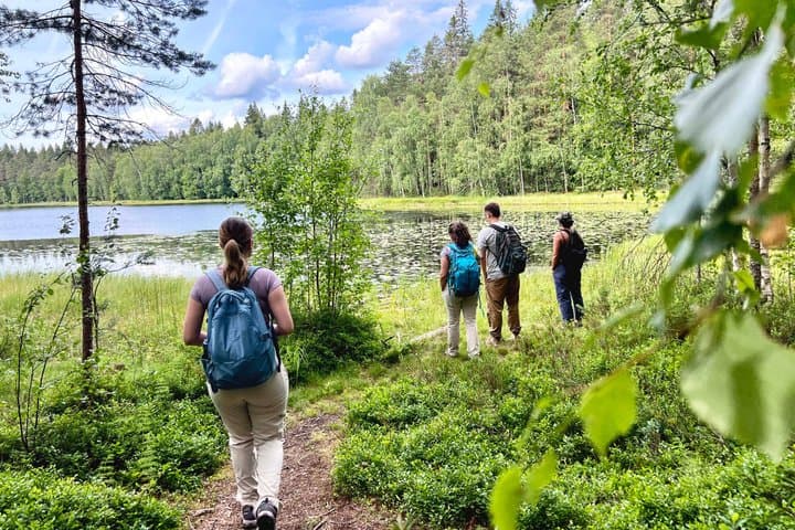 Magical Taiga Forest Hike with Lunch and Transportation