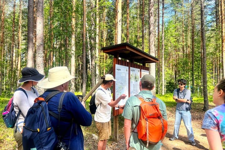 Magical Taiga Forest Hike with Lunch and Transportation