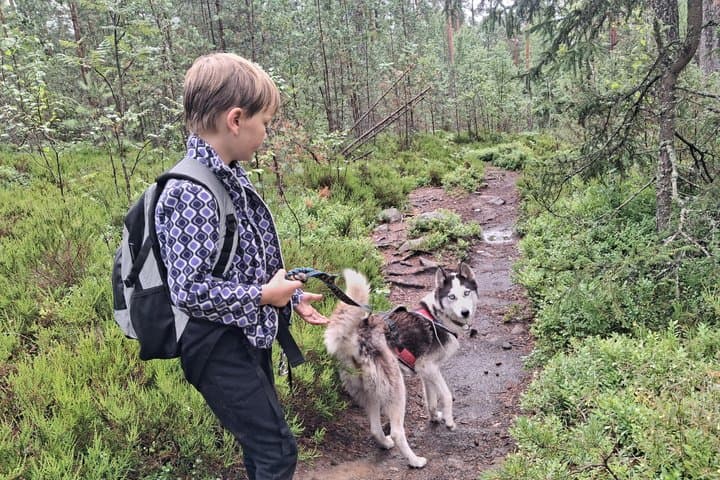 Guided Husky Hike in Finnish National Park