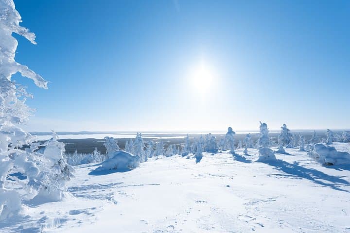 Riisitunturi National Park Day Tour from Rovaniemi