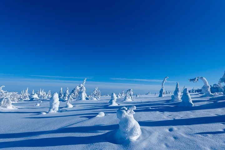 Riisitunturi National Park Day Tour from Rovaniemi
