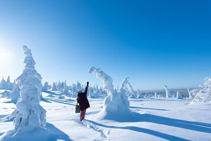 Riisitunturi National Park Day Tour from Rovaniemi