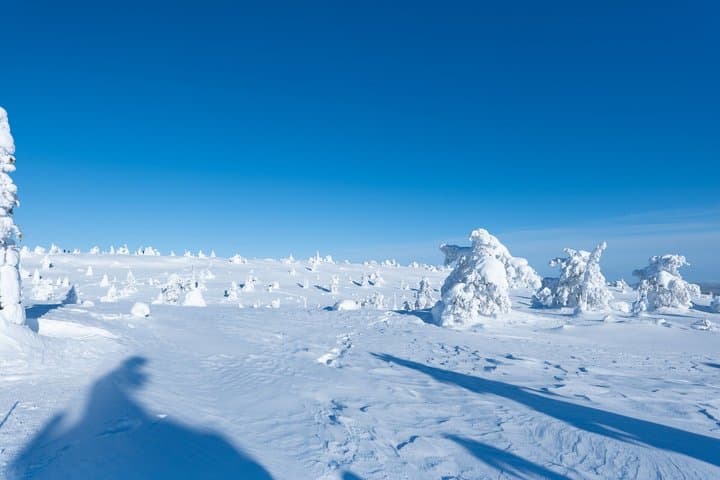 Riisitunturi National Park Day Tour from Rovaniemi