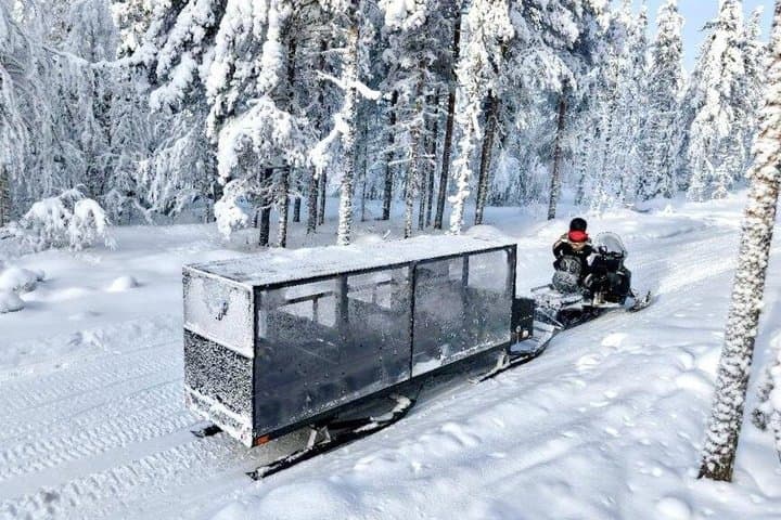 Arctic Forest Snowmobile Sleigh Ride with Snacks