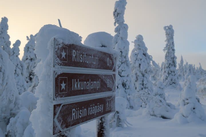 Trip to Riisitunturi National Park