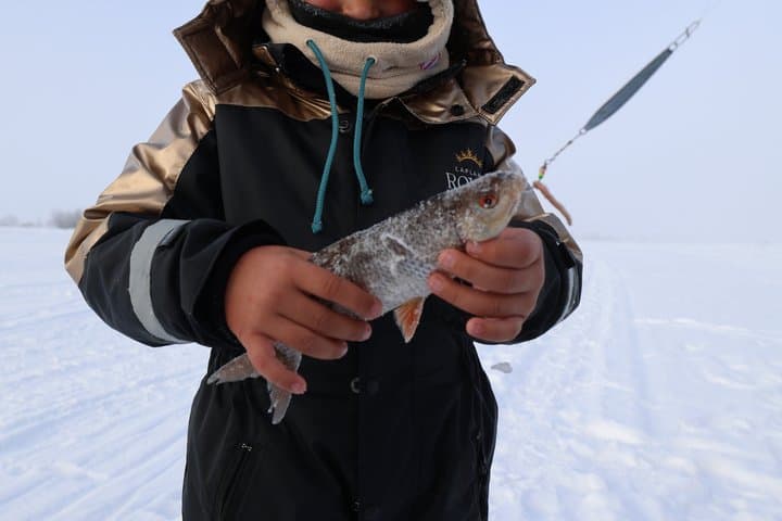 Lakeside Ice Fishing Experience