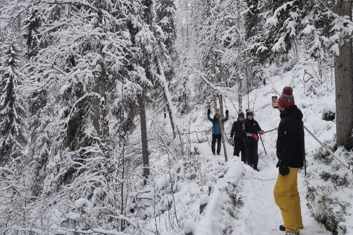 Rovaniemi: Korouoma Frozen Waterfalls & Smoked Salmon BBQ