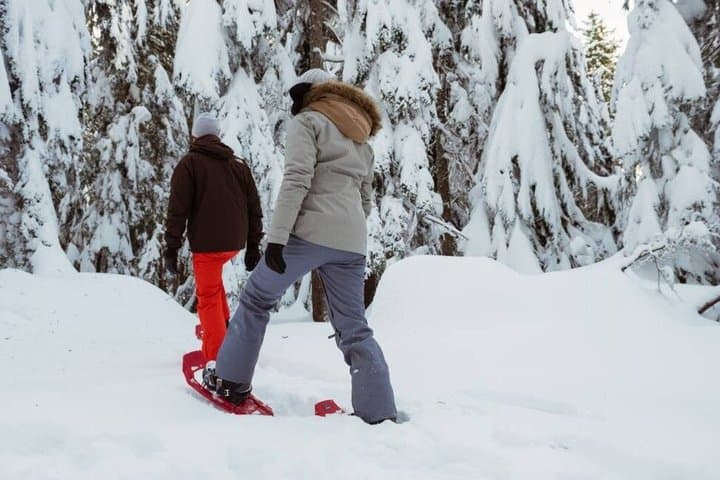 Rovaniemi Snowshoeing and Ice Fishing Winter Adventure