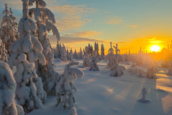 Private Snowmobile and Lappish Meal by the Fire