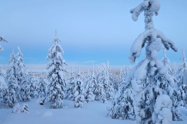Private Snowmobile and Lappish Meal by the Fire