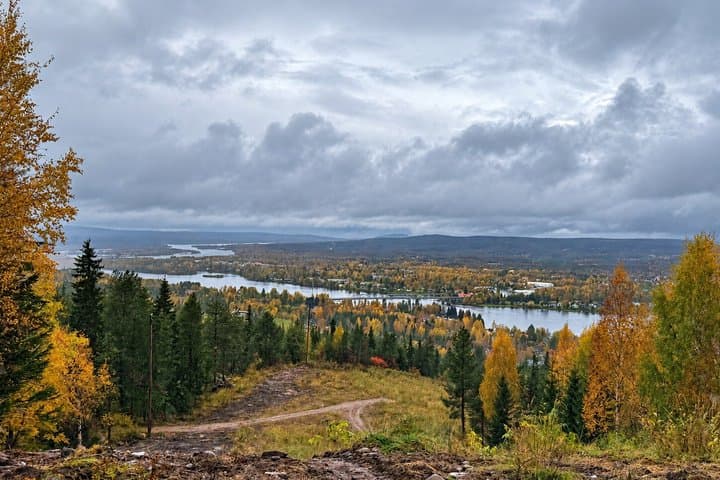 Santa Claus Village & Rovaniemi Nature, City Tour with Local BBQ