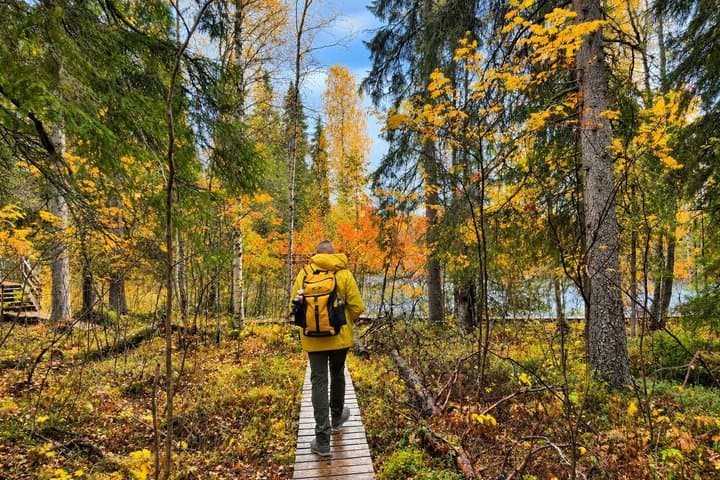 Santa Claus Village & Rovaniemi Nature, City Tour with Local BBQ